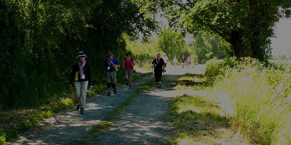 Circuits 2017 des randonnées 4 jours à chantonnay